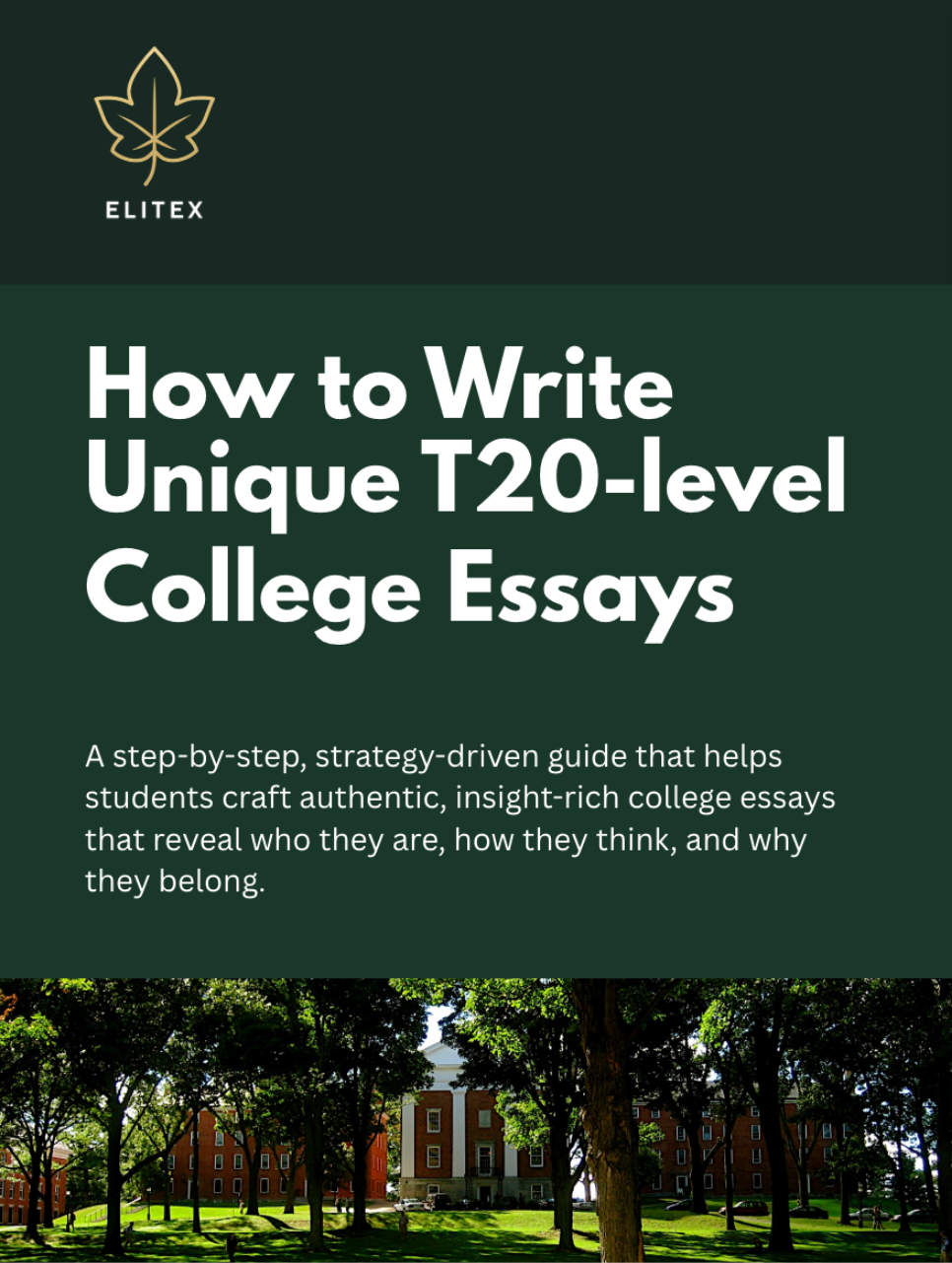 Essay System Guide